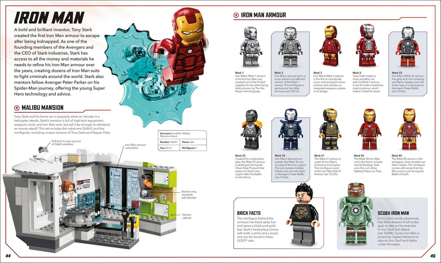 Visual Dictionary Book